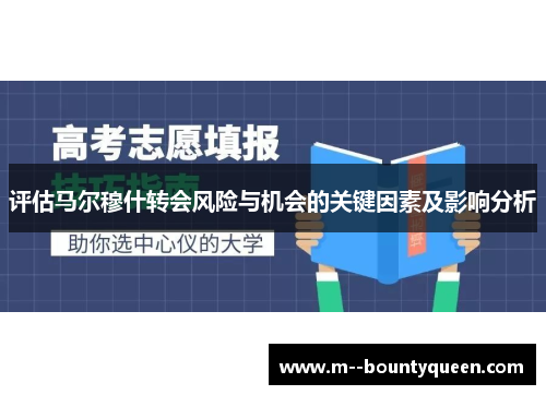 评估马尔穆什转会风险与机会的关键因素及影响分析