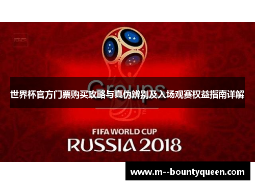 世界杯官方门票购买攻略与真伪辨别及入场观赛权益指南详解